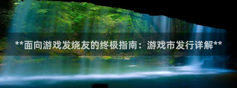 顺盈平台怎么样可靠吗：**面向游戏发烧友的终极指南：游戏市发行详解**