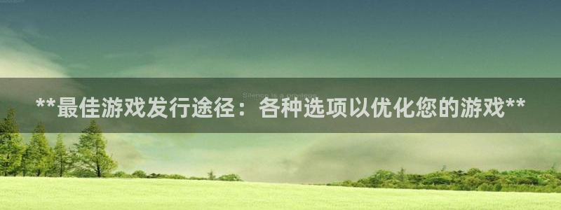 顺盈平台：**最佳游戏发行途径：各种选项以优化您的游戏**