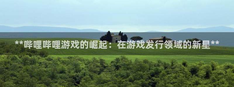 顺盈app是真的吗还是假的：**哔哩哔哩游戏的崛起：在游戏发行领域的新星**