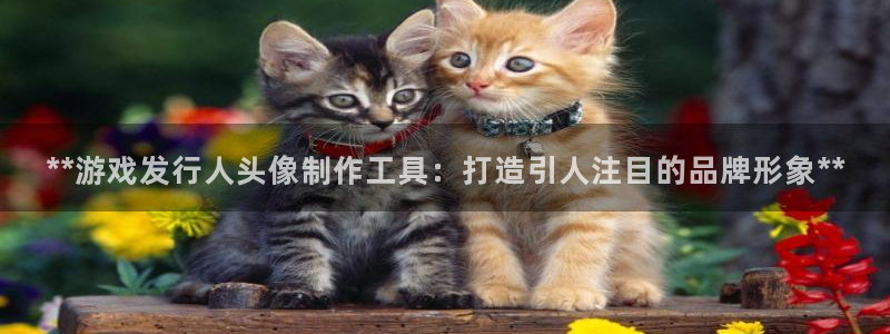 顺盈娱乐登录平台下载安装最新版：**游戏发行人头像制作工具：打造引人注目的品牌形象**