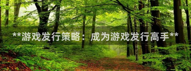 顺盈平台注册地址在哪看：**游戏发行策略：成为游戏发行高手**
