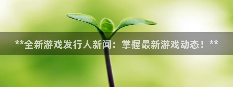 顺盈网络科技有限公司电话：**全新游戏发行人新闻：掌握最新游戏动态！**