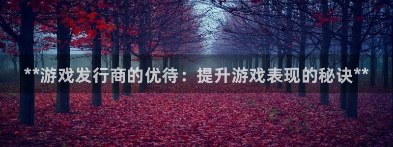 顺盈娱乐登录平台是什么软件：**游戏发行商的优待：提升游戏表现的秘诀**