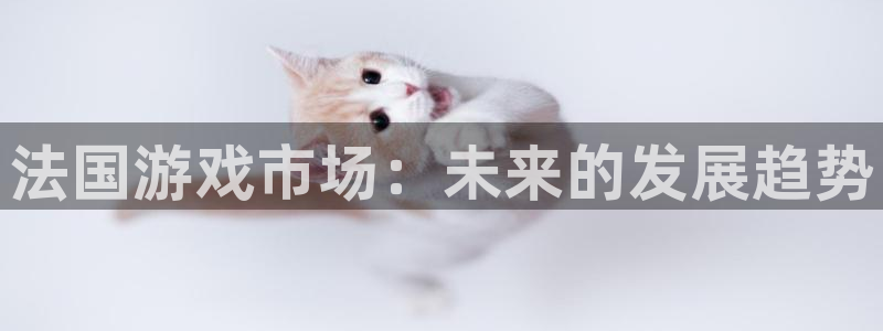 顺赢电子官网：法国游戏市场：未来的发展趋势