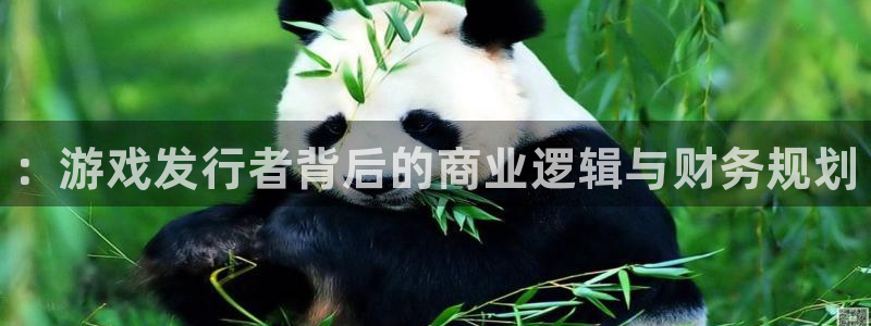 顺盈娱乐扣款成功了吗怎么退款：：游戏发行者背后的商业逻辑与财务规划