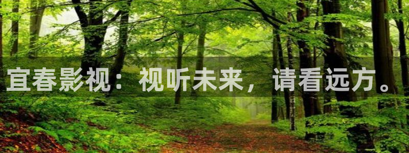 驰策影院2023：宜春影视：视听未来，请看远方。