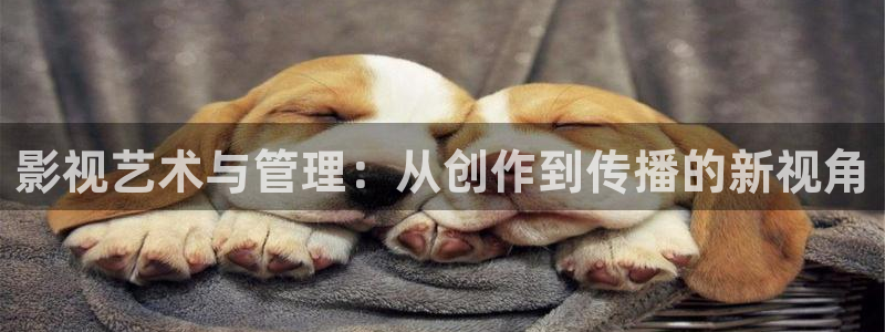 驰策驰影院红桃国际：影视艺术与管理：从创作到传播的新视角