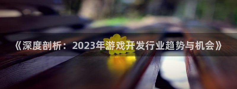 顺盈娱乐公司介绍