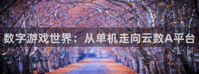 顺盈娱乐登录平台是什么软件呀